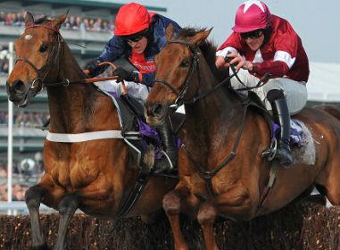 Placing horse racing bets in-running can be daunting without software to help